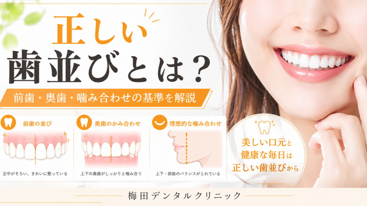 正しい歯並びとは？前歯・奥歯・噛み合わせの7つの基準を解説