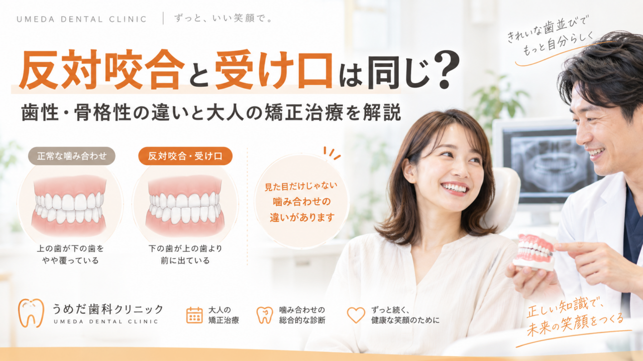 反対咬合と受け口は同じ?歯性・骨格性の違いと大人の矯正治療を解説